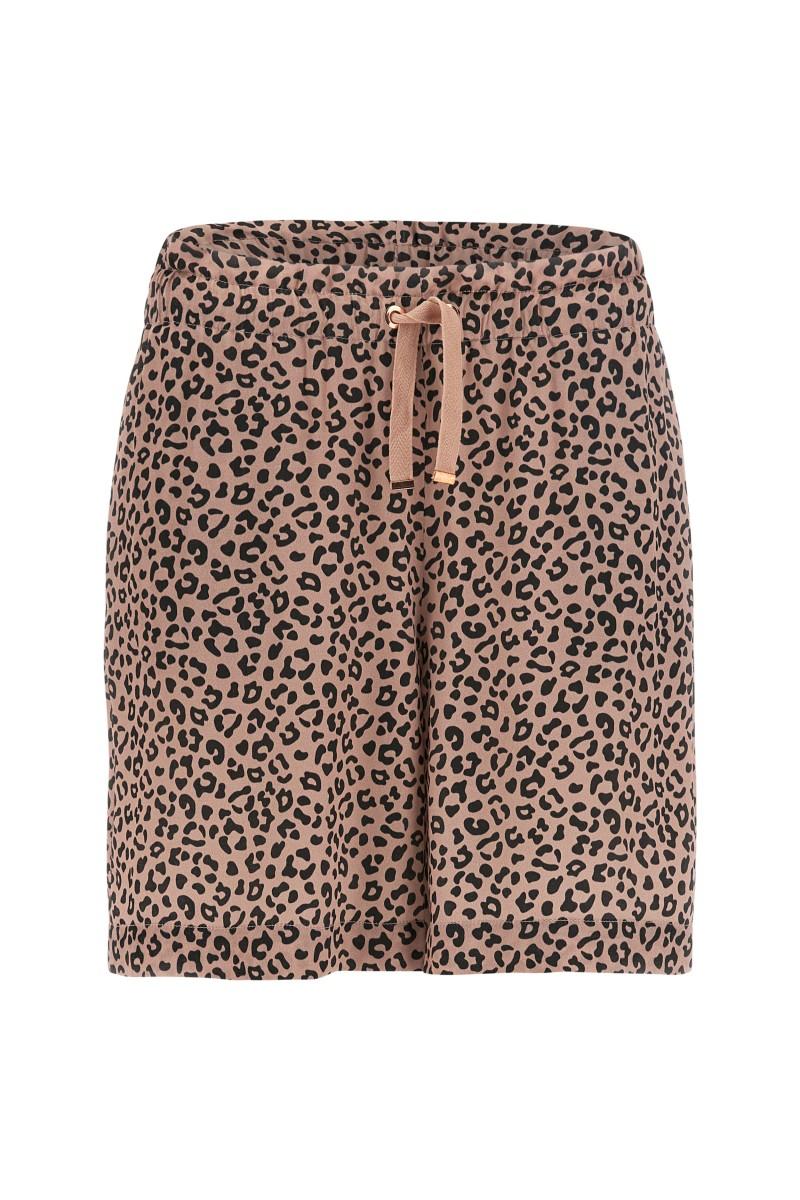 S3WSDP9CANI43- FREDDY